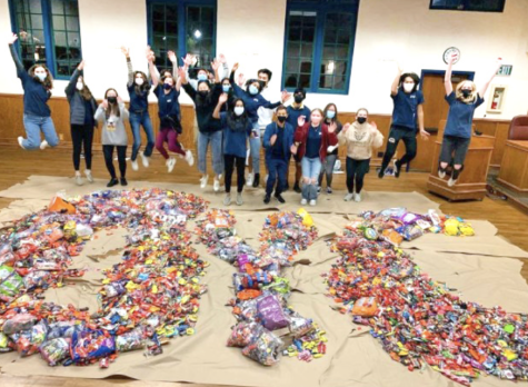 Danville Youth Councils Fall Service Projects