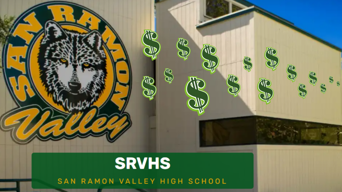 SRVUSD Budget Cuts