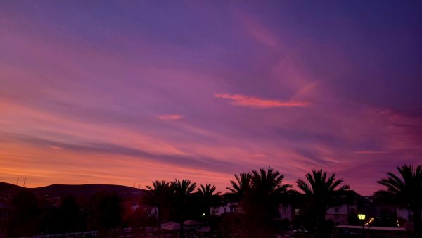 Pink Skies